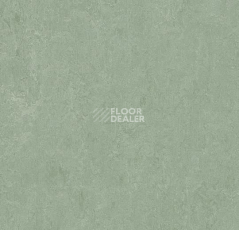 Линолеум Forbo Marmoleum Decibel on Order 389135 sage фото 1 | FLOORDEALER